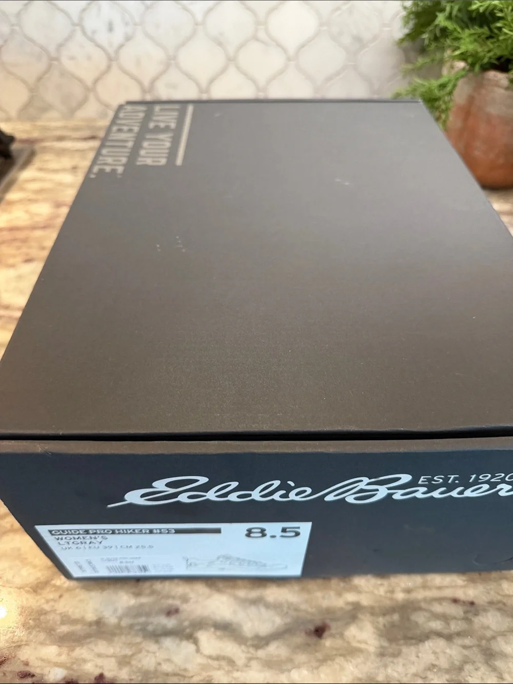Eddie Bauer Guide Pro Hiker boots / shoes
